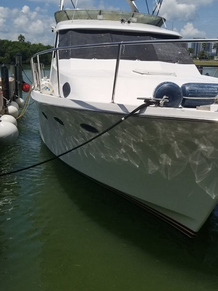 Boat Hull Cleaning. St. Pete. Tampa Bay Florida. Alex's Dive Service Inc.