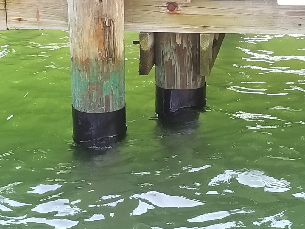 DOCK PILING WRAPS INSTALLATION Alex Dive Service Inc Boat Hull Cleaner