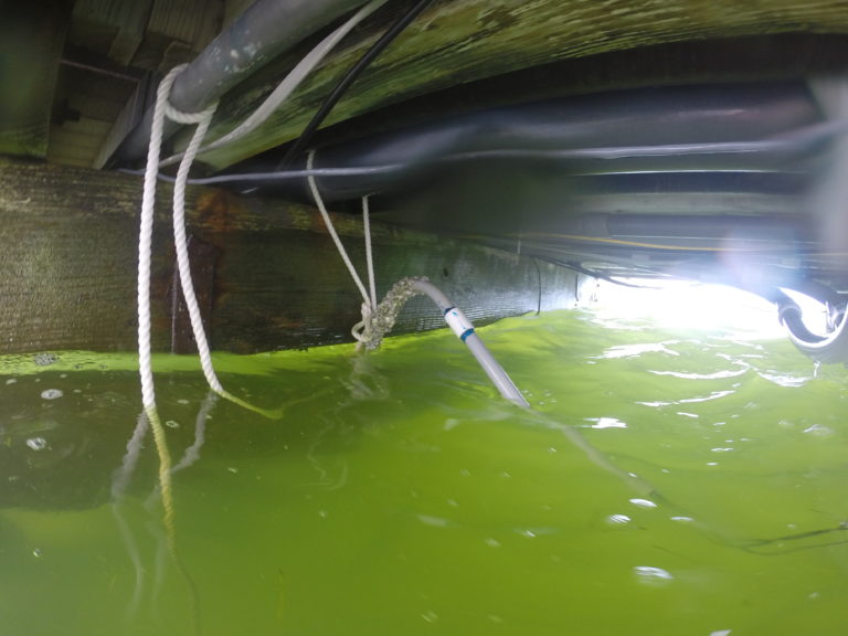 ZINC (ANODE) REPLACEMENT Alex Dive Service Inc Boat Hull Cleaner