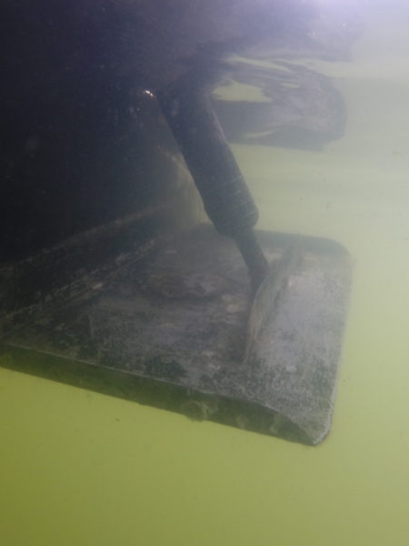 Boat bottom cleaning. Dunedin Florida